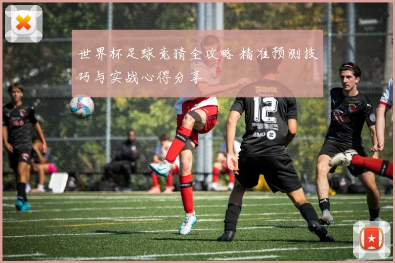 世界杯足球竞猜全攻略 精准预测技巧与实战心得分享