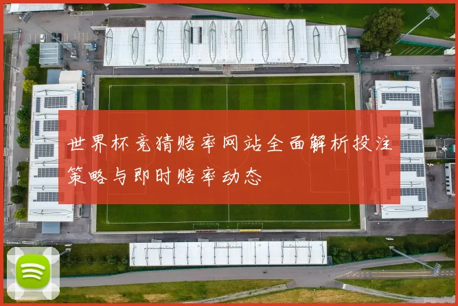世界杯竞猜赔率网站全面解析投注策略与即时赔率动态
