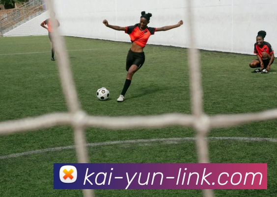 开云官网全站App